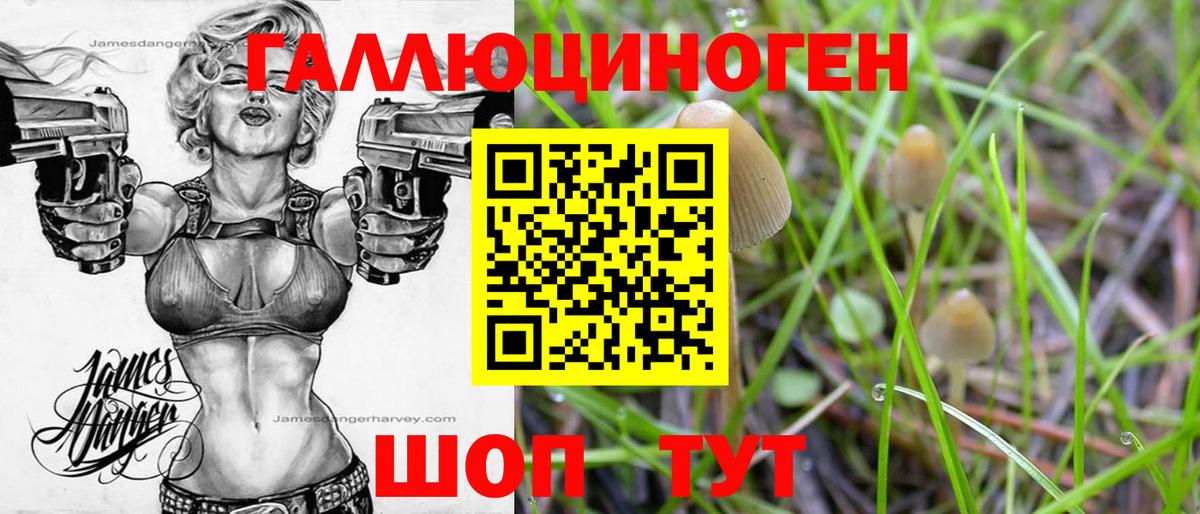 Вышний Волочёк  Псилоцибиновые грибы прущие грибы  Вход с VPN 